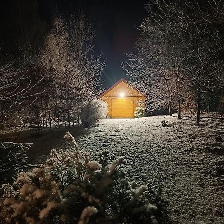Villa Lupus - Apartament Z Prywatna Sauna Szklarska Poręba Εξωτερικό φωτογραφία