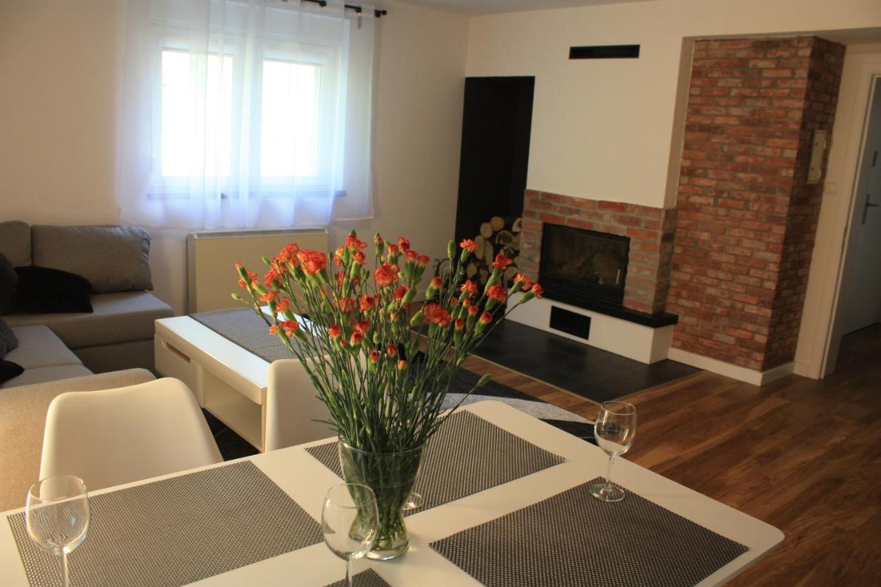 Villa Lupus - Apartament Z Prywatna Sauna Szklarska Poręba Εξωτερικό φωτογραφία